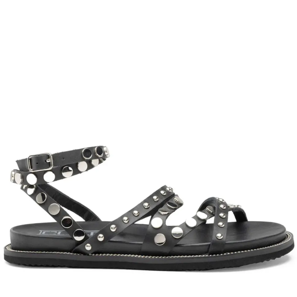 Sandali Donna CULT Roshelle 3886 in Pelle Colore Nera con Borchie Piatte